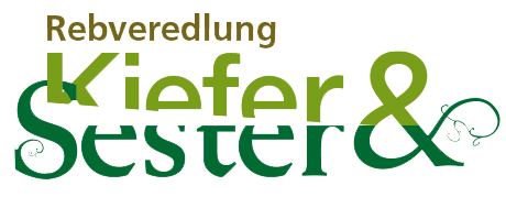 Rebschule Sester - Rebschule Sester - Kiefer Sester Reben